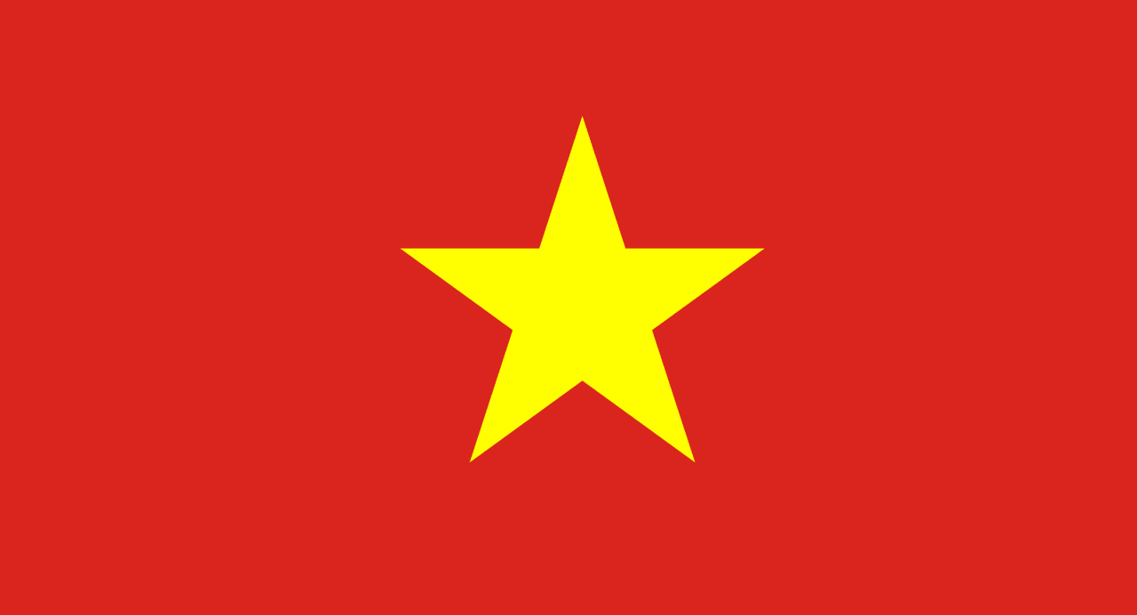 BDV Case Study Vietnam